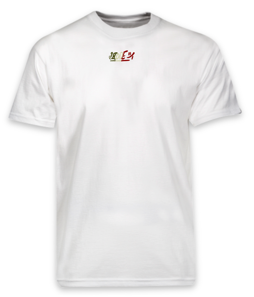 DECODE "ITALY" T shirt