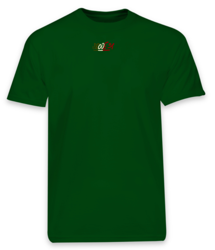 DECODE "ITALY" T shirt