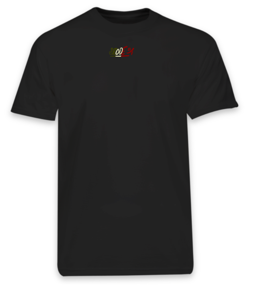 DECODE "ITALY" T shirt